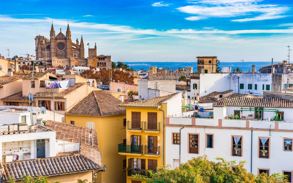 Licencia turística mallorca